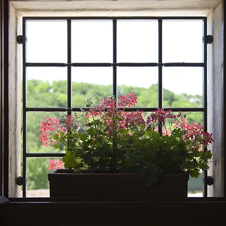 Farm stay Althea *