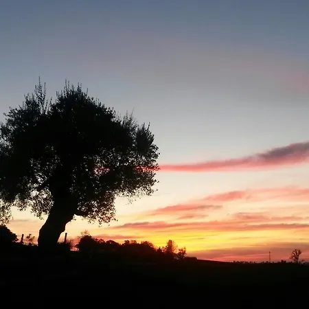 Althea Κατάλυμα σε φάρμα Vittorio Veneto