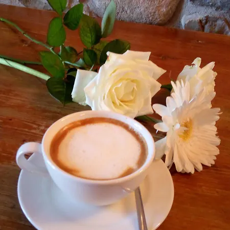 Althea Vakantieboerderij